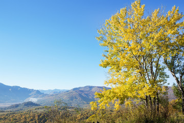 Autumn landscape in the mountains of Lago-Naki