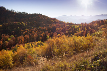 Autumn landscape in the mountains of Lago-Naki