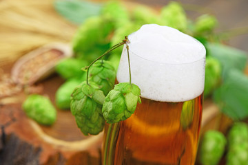 Hopfen,Bier