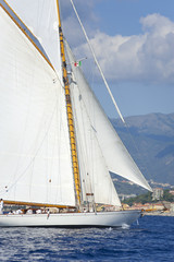 Ancient sailing boat during a regatta at the Panerai Classic Yac