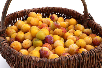 Prunes