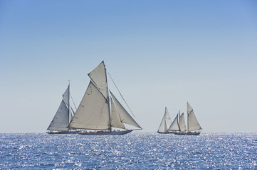 Fototapeta premium Ancient sailing boat during a regatta at the Panerai Classic Yac