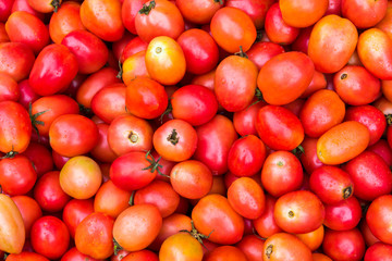 Group of fresh tomatoes
