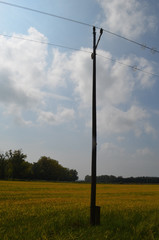 electricity pole in rice field