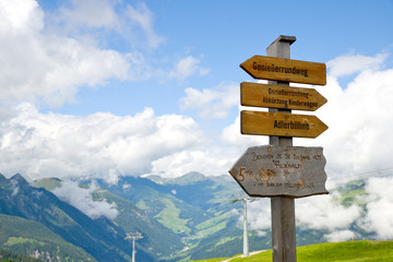 Ahorn - Zillertal - Alpen
