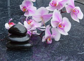 Obraz na płótnie Canvas zen basalt stones and orchid 