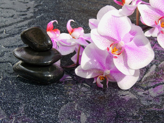zen basalt stones and orchid 