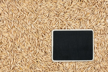 Pointer, the price tag lies on oat