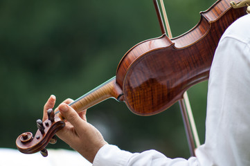 violinist