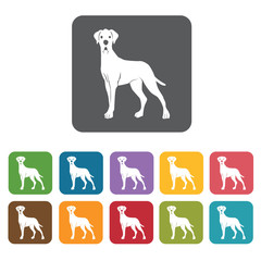 Dalmatian icon. Dog icons set. Rectangle colourful 12 buttons. V
