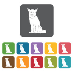 Husky icon. Dog icons set. Rectangle colourful 12 buttons. Vecto