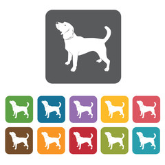 Labrador icon. Dog icons set. Rectangle colourful 12 buttons. Ve