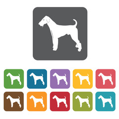 Terrier icon. Dog icons set. Rectangle colourful 12 buttons. Vec