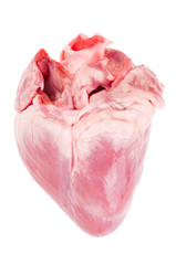 Pig heart isolated with clipping path.