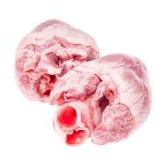 Pig heart isolated with clipping path.