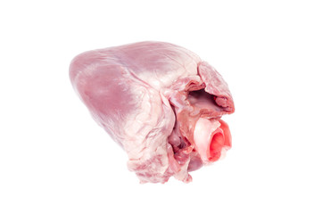 Pig heart on white background.