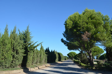 Archaeological remains Ampurias