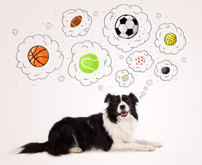 Cute dog with balls in thought bubbles