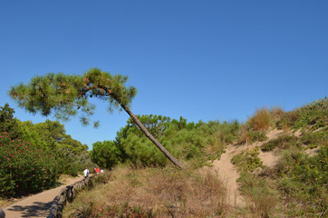 traffic-free coastal walk empires