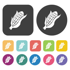 Corn icon. Farming icon set. Round and rectangle colourful 12 bu