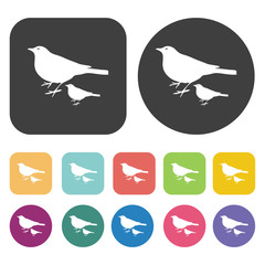 Bird icon. Farming icon set. Round and rectangle colourful 12 bu