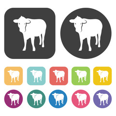 Cow icon. Farming icon set. Round and rectangle colourful 12 but