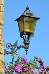 Fototapeta na wymiar Old street lamp with pink flowers
