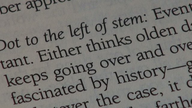 Text, Writing, Reading, Words, Print