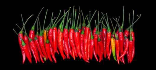 Fototapety  Czerwone papryczki chili. zdjęcie panoramiczne