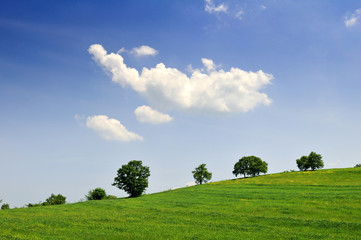 Landscape Background