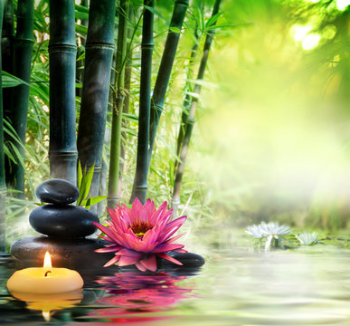 Fototapeta masaż w przyrodzie - lilia, kamienie, bambus - koncepcja zen
