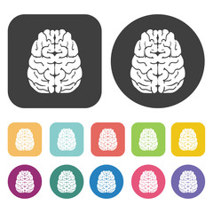 Brain icon. Human organ icons set. Round and rectangle colourful