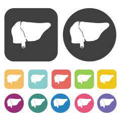 Lungs icon. Human organ icons set. Round and rectangle colourful