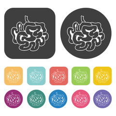 Intestines icon. Human organ icons set. Round and rectangle colo
