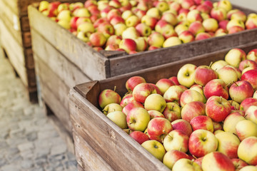 Apples being sold on a market