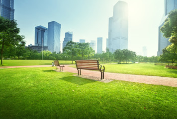 Fototapeta premium bench in park, Shanghai, China