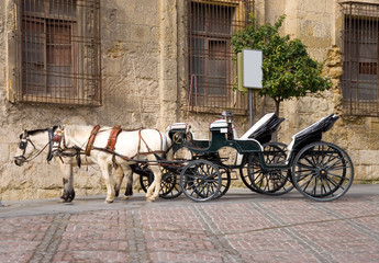 Fototapeta na wymiar Pferdekutsche in Cordoba - Andalusien - Spanien