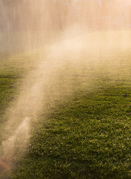 watering grass in late sunlight