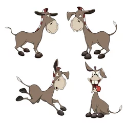 Zelfklevend Fotobehang set of burros cartoon © liusa