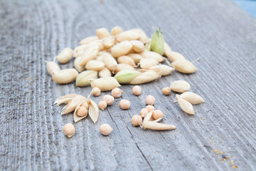 Pile of chickpeas
