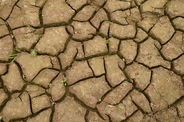 cracked ground for background