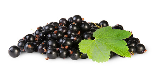 Bunch Of Black Currant With Leaf