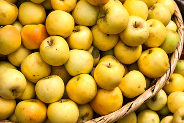Basket of green apples