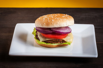 hamburger on plate