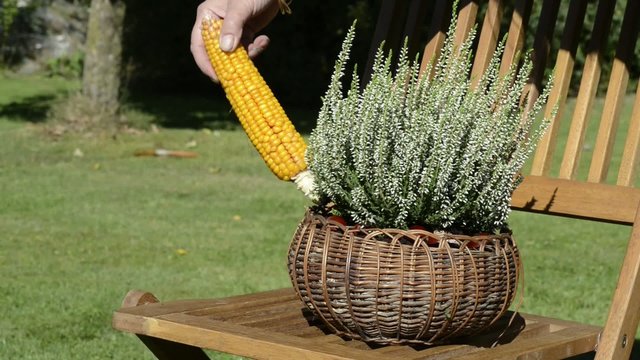 Herbstkorb