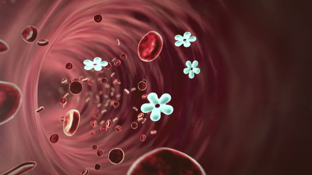 inside the blood vessel