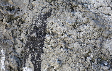Grunge concrete texture