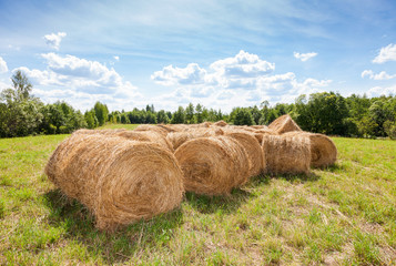 Golden hay bales on field under blue sky in summer day