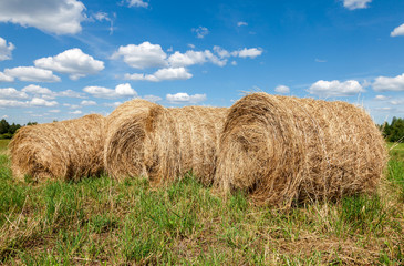 Round straw bales in harvested fields and blue sky with clouds