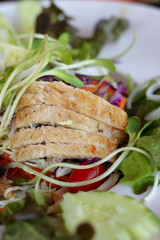 close up of chicken salad recipe.